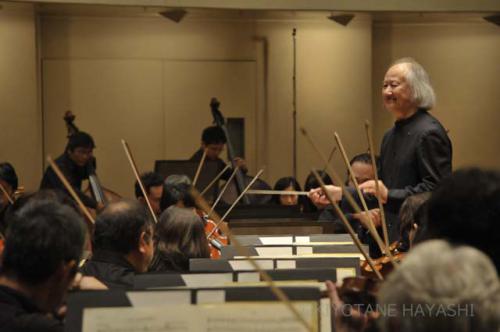 Hikotaro Yazaki(2017)
